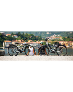 Biciclete electrice cu Motoare DJI Avinox